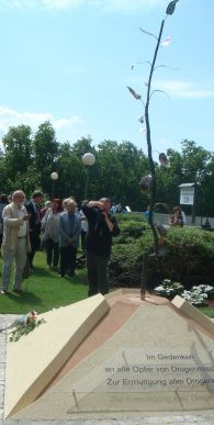 Read more: ECAD Celebrating Tree of Hope