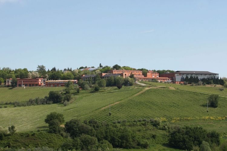 Read more: Invitation to WeFree Days in SanPatrignano