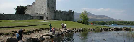 Castle