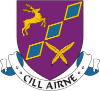 killarney_town